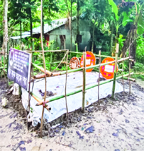 Image of মো: ফয়সাল আহমেদ (শান্ত)
